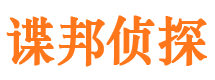 武冈市调查公司